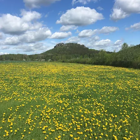 Boehmer, Zirkelstein דירה *
